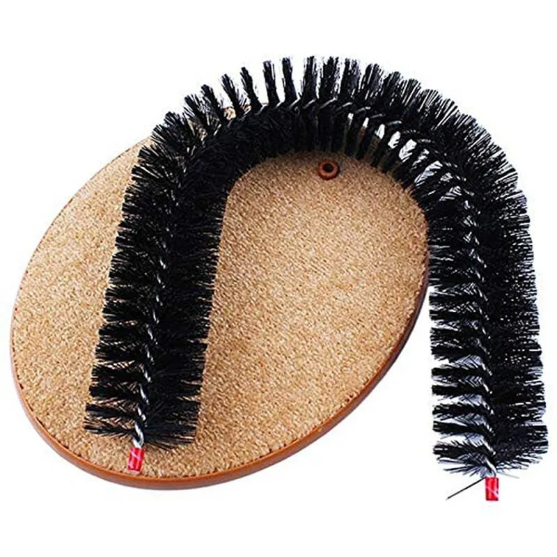 Cat Comfortable Arch Home Comb