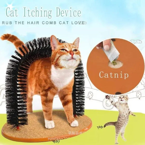 Cat Comfortable Arch Home Comb