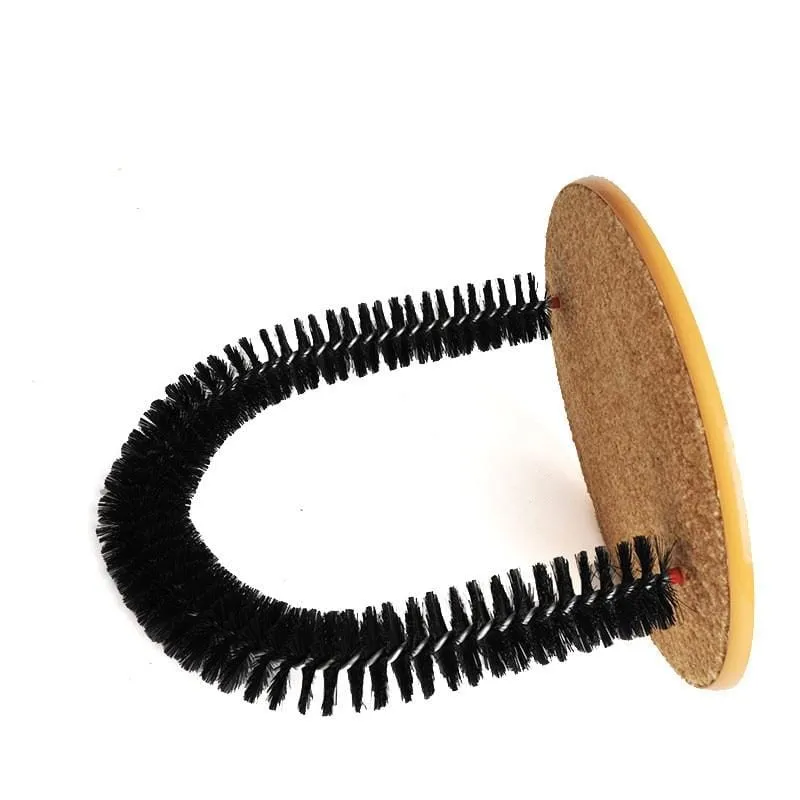 Cat Comfortable Arch Home Comb