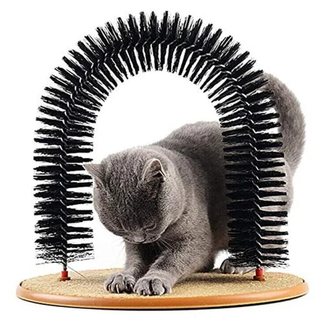 Cat Comfortable Arch Home Comb