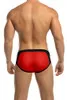 XLR8 SWIM BRIEF